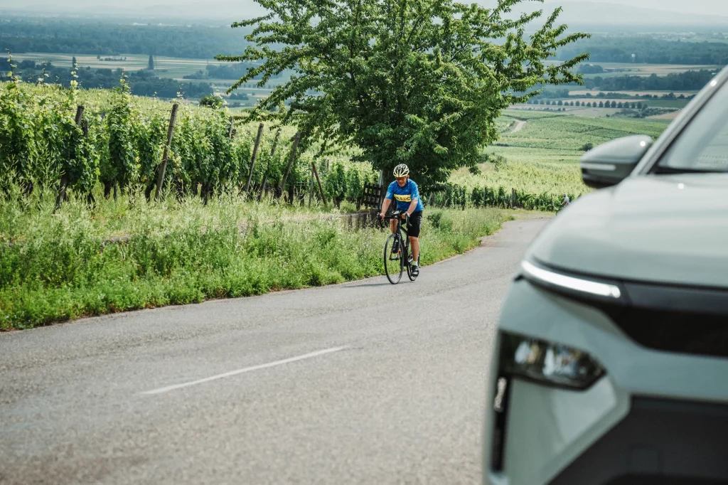Cycliste grimpant une route entre les vignes alsaciennes lors des Boucles Škoda à Colmar.